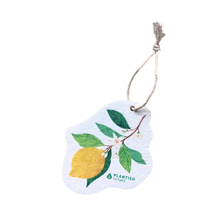A plant-based pop up sponge featuring a design of a lemon on a branch.