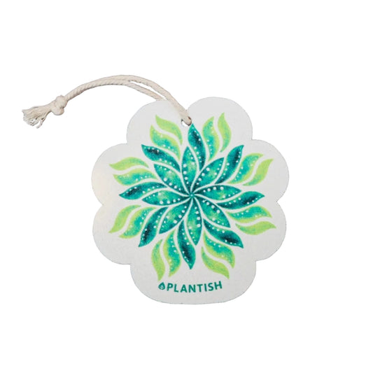Plantish Pop Up Sponge - Geometric Plant