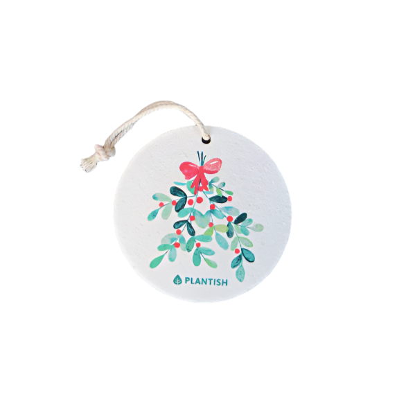 A round pop up sponge featuring a festive mistletoe/berry design, attached to a string.